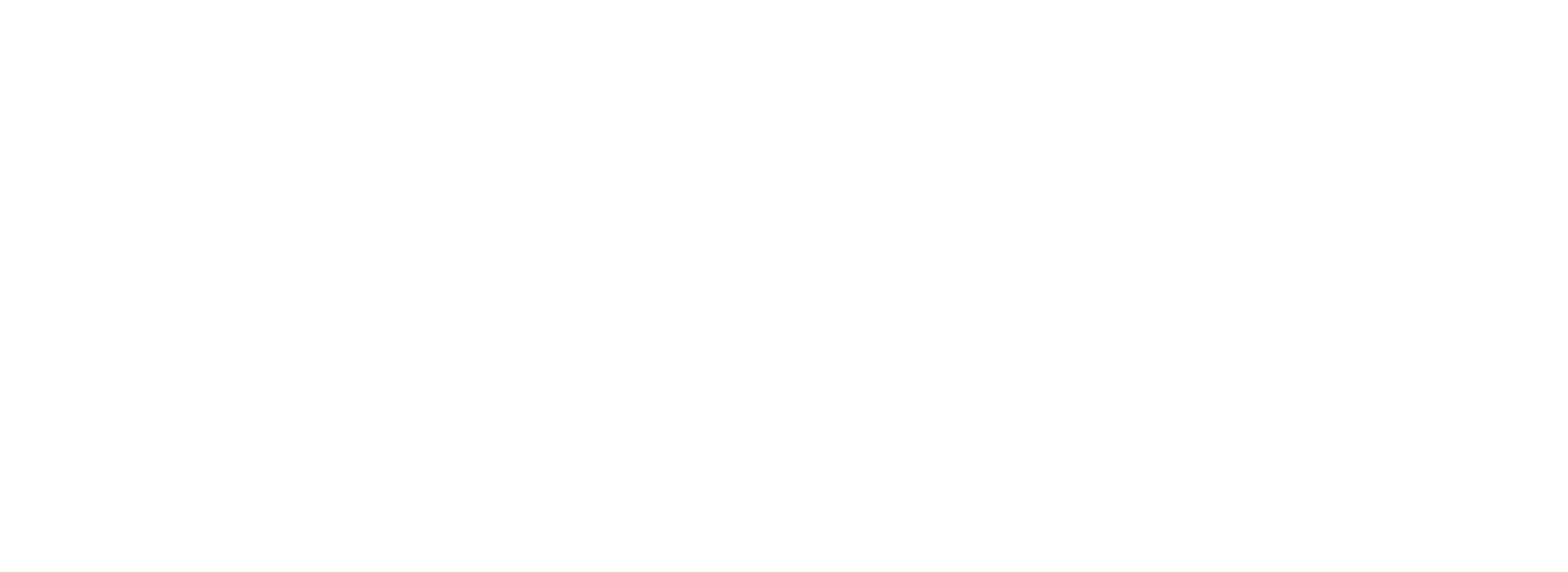 VOID CLUB Logo